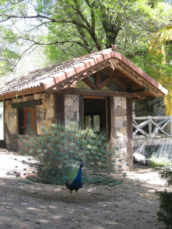 Hotel Rural Los Frutales Cercedilla Bagian luar foto
